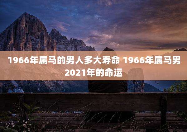 1966年属马的男人多大寿命 1966年属马男2021年的命运