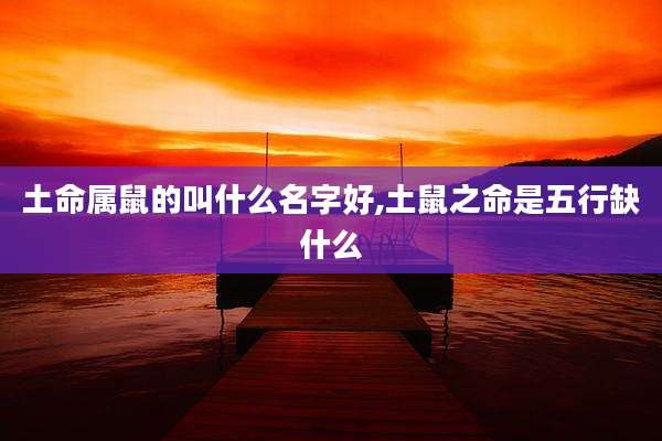 土命属鼠的叫什么名字好,土鼠之命是五行缺什么