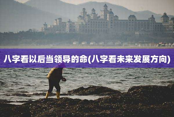八字看以后当领导的命(八字看未来发展方向)
