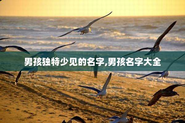 男孩独特少见的名字,男孩名字大全