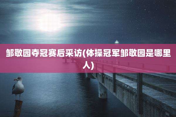 邹敬园夺冠赛后采访(体操冠军邹敬园是哪里人)