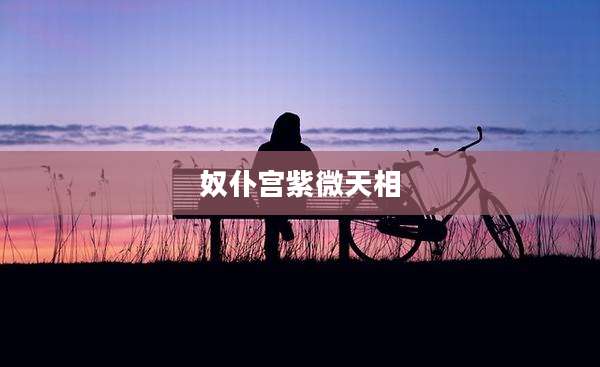 奴仆宫紫微天相