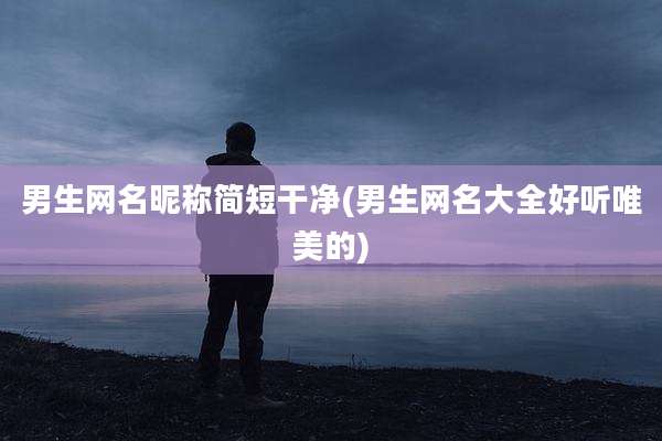 男生网名昵称简短干净(男生网名大全好听唯美的)