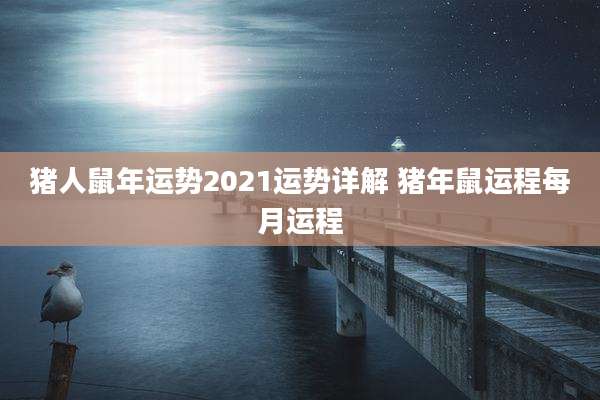 猪人鼠年运势2021运势详解 猪年鼠运程每月运程