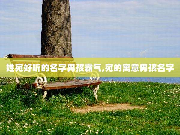 姓宛好听的名字男孩霸气,宛的寓意男孩名字