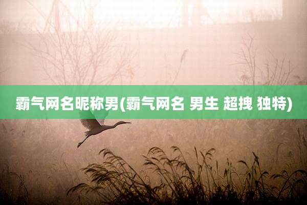 霸气网名昵称男(霸气网名 男生 超拽 独特)
