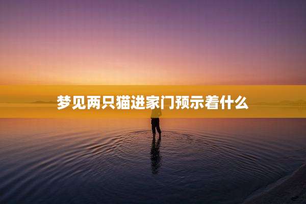 梦见两只猫进家门预示着什么