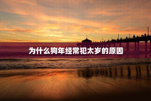 为什么狗年经常犯太岁的原因