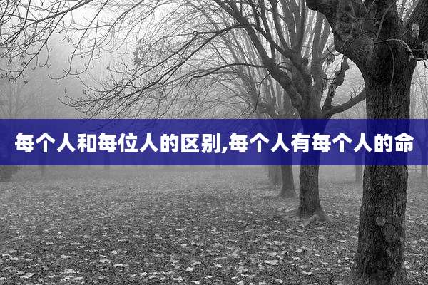 每个人和每位人的区别,每个人有每个人的命