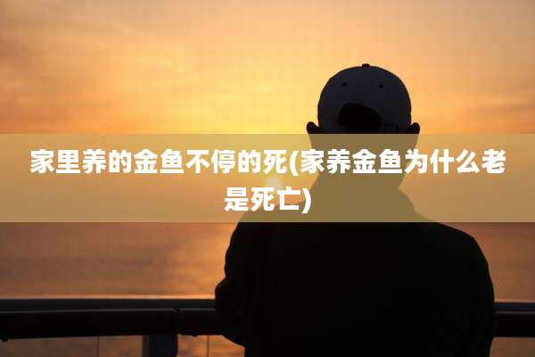 家里养的金鱼不停的死(家养金鱼为什么老是死亡)