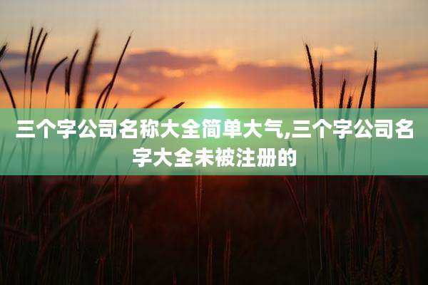 三个字公司名称大全简单大气,三个字公司名字大全未被注册的