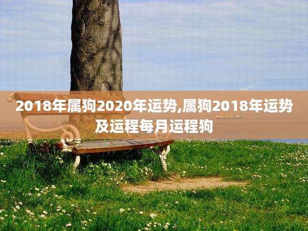 2018年属狗2020年运势,属狗2018年运势及运程每月运程狗