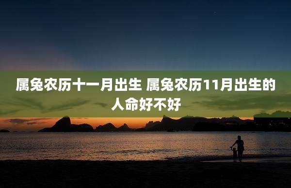 属兔农历十一月出生 属兔农历11月出生的人命好不好