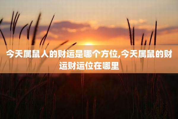 今天属鼠人的财运是哪个方位,今天属鼠的财运财运位在哪里