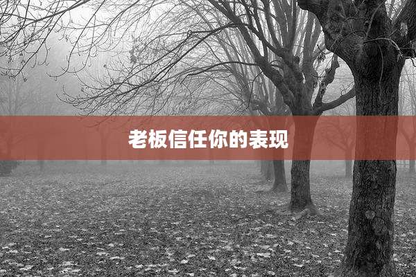 老板信任你的表现
