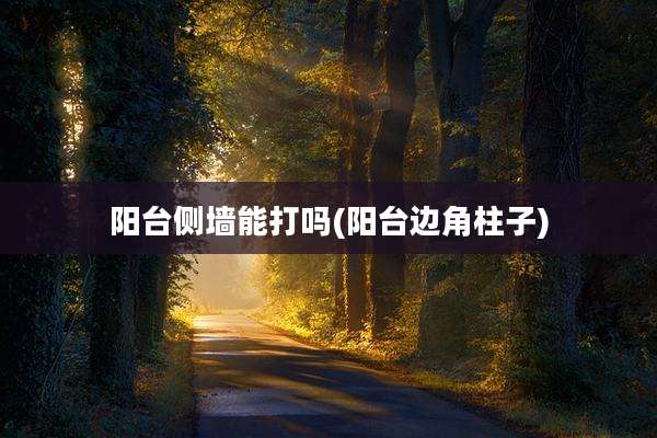 阳台侧墙能打吗(阳台边角柱子)