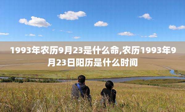 1993年农历9月23是什么命,农历1993年9月23日阳历是什么时间