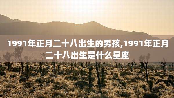 1991年正月二十八出生的男孩,1991年正月二十八出生是什么星座