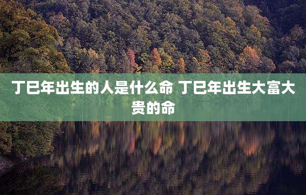 丁巳年出生的人是什么命 丁巳年出生大富大贵的命