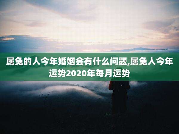 属兔的人今年婚姻会有什么问题,属兔人今年运势2020年每月运势