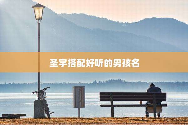 圣字搭配好听的男孩名