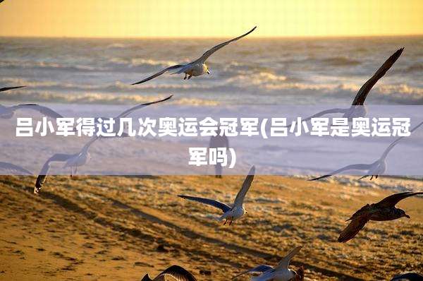 吕小军得过几次奥运会冠军(吕小军是奥运冠军吗)