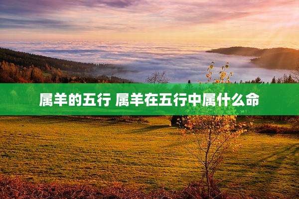 属羊的五行 属羊在五行中属什么命