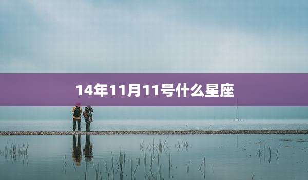 14年11月11号什么星座
