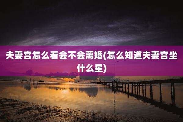 夫妻宫怎么看会不会离婚(怎么知道夫妻宫坐什么星)