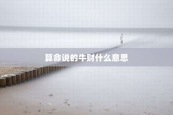 算命说的牛财什么意思