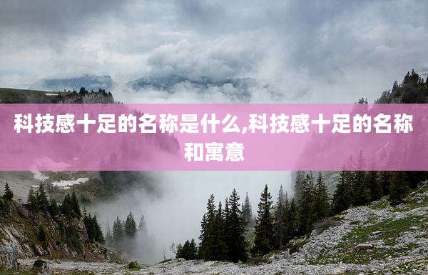 科技感十足的名称是什么,科技感十足的名称和寓意