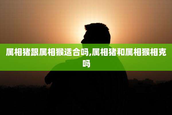 属相猪跟属相猴适合吗,属相猪和属相猴相克吗