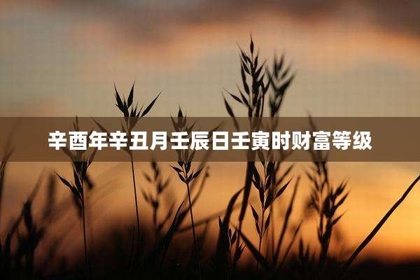 辛酉年辛丑月壬辰日壬寅时财富等级