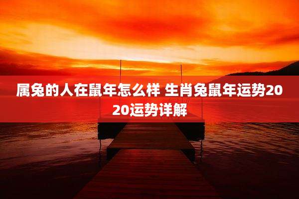 属兔的人在鼠年怎么样 生肖兔鼠年运势2020运势详解