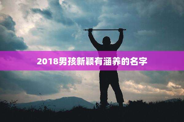 2018男孩新颖有涵养的名字