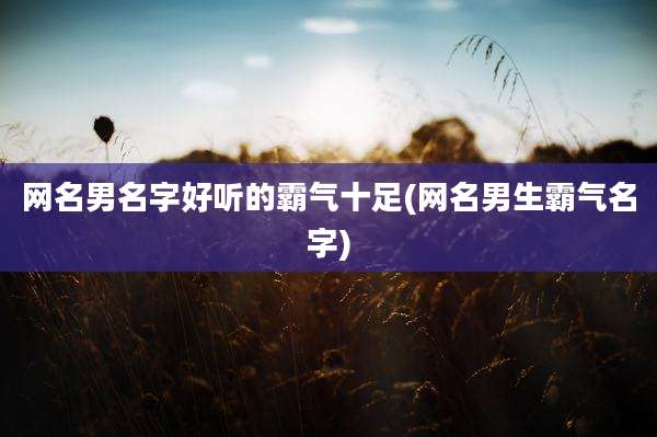 网名男名字好听的霸气十足(网名男生霸气名字)
