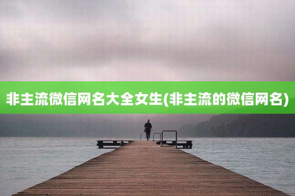 非主流微信网名大全女生(非主流的微信网名)