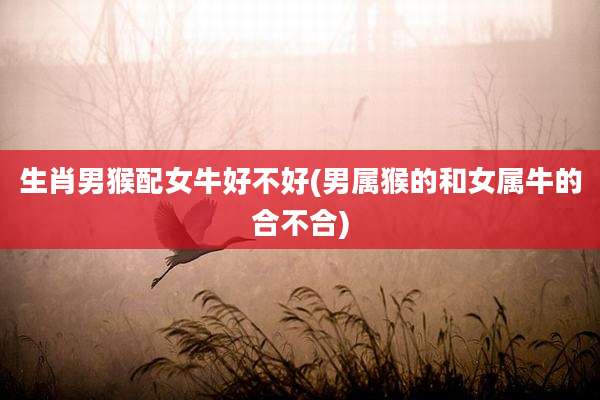 生肖男猴配女牛好不好(男属猴的和女属牛的合不合)