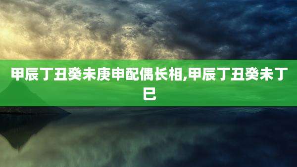 甲辰丁丑癸未庚申配偶长相,甲辰丁丑癸未丁巳