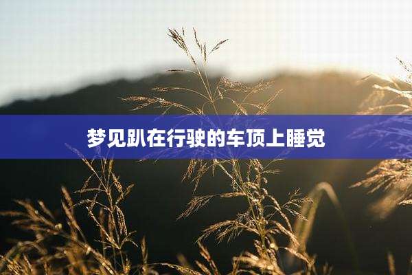 梦见趴在行驶的车顶上睡觉