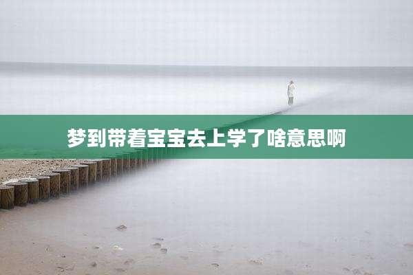 梦到带着宝宝去上学了啥意思啊