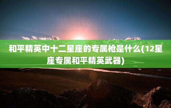 和平精英中十二星座的专属枪是什么(12星座专属和平精英武器)