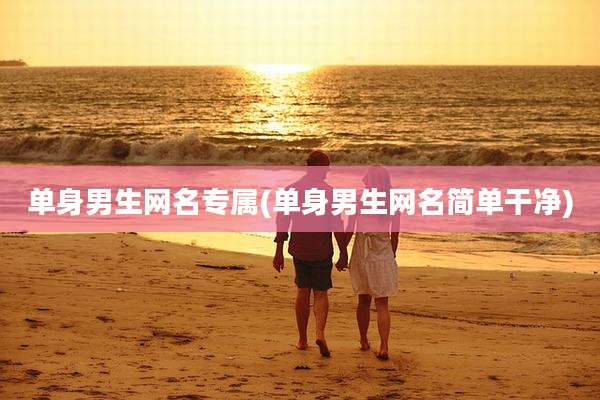 单身男生网名专属(单身男生网名简单干净)
