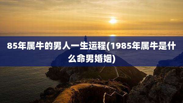 85年属牛的男人一生运程(1985年属牛是什么命男婚姻)