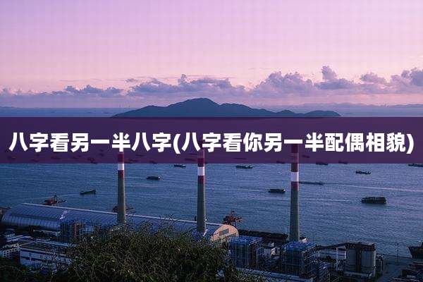八字看另一半八字(八字看你另一半配偶相貌)