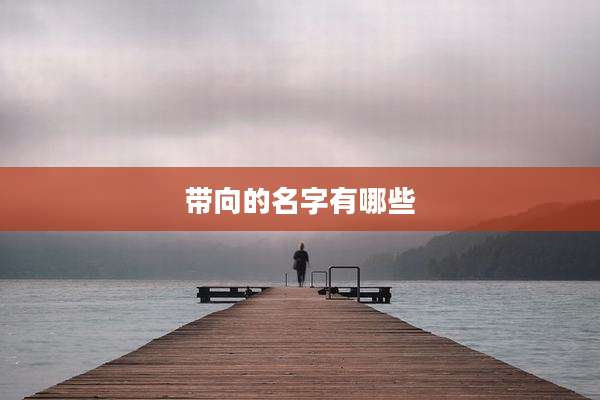 带向的名字有哪些