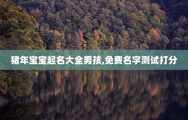 猪年宝宝起名大全男孩,免费名字测试打分