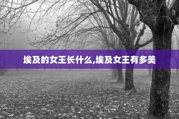 埃及的女王长什么,埃及女王有多美