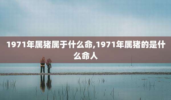 1971年属猪属于什么命,1971年属猪的是什么命人