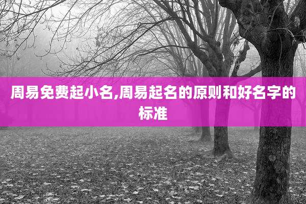 周易免费起小名,周易起名的原则和好名字的标准